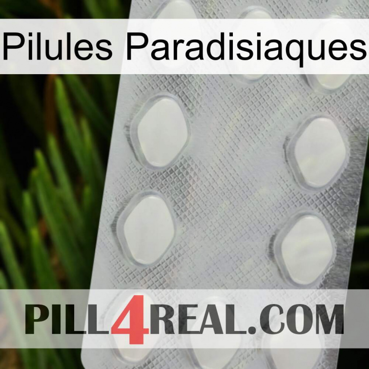 Paradise Pills 16